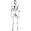 Halloween Express  5 ft Skeleton Pose & Hold Decoration - image 2 of 4