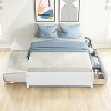 TiramisuBest Full Size Wood Platform Bed Frame with Headboard and Twin Trundle, Space-Saving Design in Grey Finish - 4 of 4
