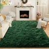 Area Rugs for Living Room Bedroom, Non-Slip Fluffy Soft Shag Carpet for Kids Home Dorm Decor Aesthetic - 2 of 4
