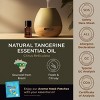 Gya Labs Tangerine Essential Oil 0.34 Fl Oz - 100% Pure Natural Zesty Sweet Fresh Scent - 3 of 4