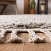 Casablanca CSB558 Hand Woven Area Rug - Safavieh - 4 of 4