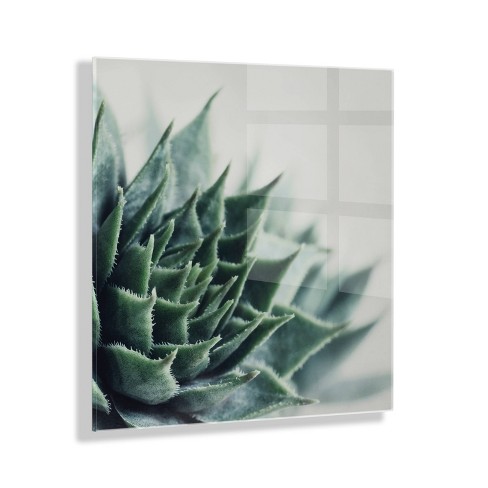 23" x 23" Radical Succulent by Emiko and Mark Franzen of F2 Images Floating Acrylic Unframed Wall Decor - Kate & Laurel All Things Decor - image 1 of 4