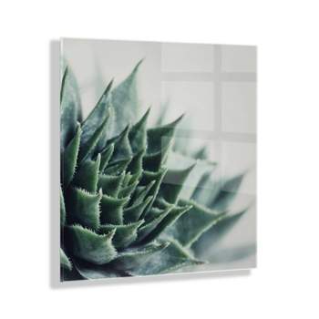 23" x 23" Radical Succulent by Emiko and Mark Franzen of F2 Images Floating Acrylic Unframed Wall Decor - Kate & Laurel All Things Decor