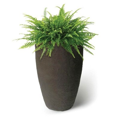 Athena 20.5" Brownstone Self-Watering Plastic Planter