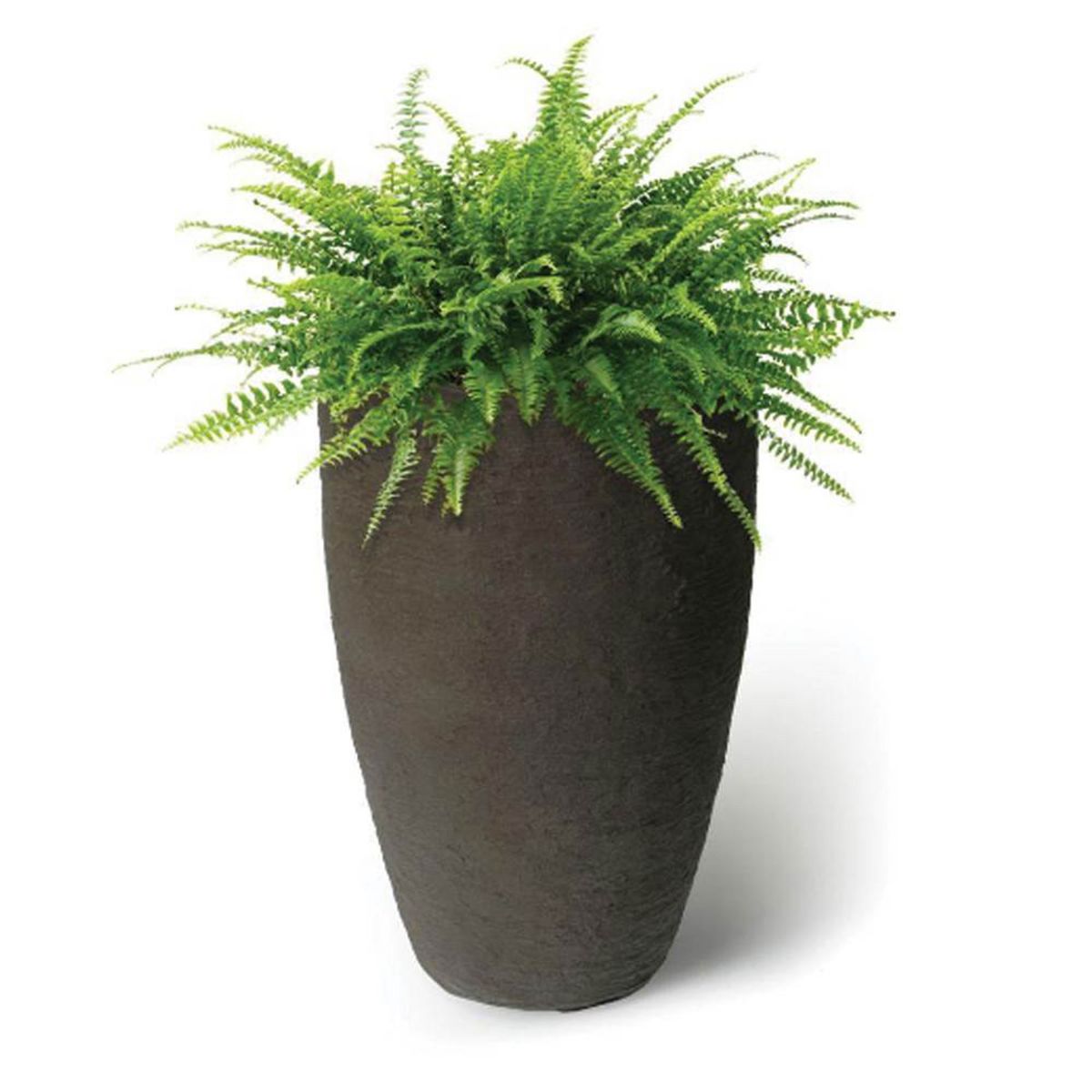 Algreen Products 87311 Athena 20.5 Inch Self Watering Level Indicator Indoor Outdoor Plastic Planter with Overflow Drain, Brownstone - thumbnail 2