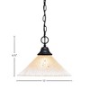 Toltec Lighting Any 1 - Light Pendant in  Matte Black with 12" Amber Crystal Shade - 2 of 2