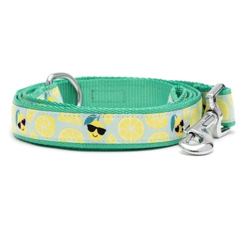 Lemon sales dog collar