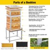 Aivituvin Large Wooden Bee Hive | Bee Box with Metal Frame, Beeswax Coating-AIR104 - 3 of 4