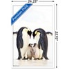 Trends International A Group Of Emperor Penguins Framed Wall Poster Prints - 3 of 4