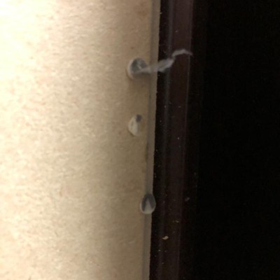 Guest review image 5 of 6, zoom in