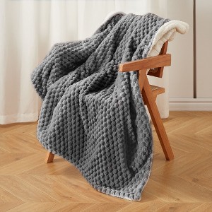 Heated Blanket, Cozy Soft Flannel Electric Blanket, Fast Heating with Multiple Heating Levels & Auto Off, Machine Washable, Warm Gift for Winter - 1 of 4