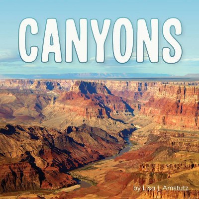 Canyons - (Earth's Landforms) by  Lisa J Amstutz (Paperback)