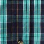 tidal green plaid