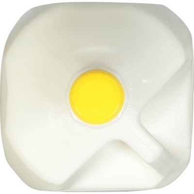 Garelick Farms Fat-Free Skim Milk - 1gal