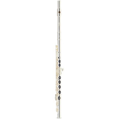 Gemeinhardt Model 2SH Conservatory Flute Level 2  194744469541