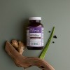 New Chapter Fermented Zinc Daily Supplement for Immune Support + Skin Health - 30 ct - 2 of 4