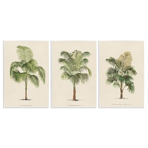 Stupell Industries Les Palmiers Botanical Trio, 13" x 19" - 1 of 4