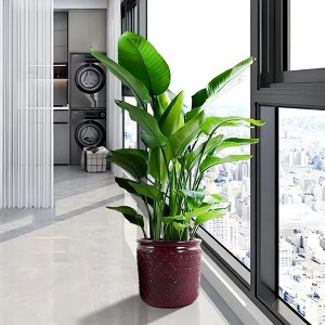 KTMBDW Plant Pots, Ceramic Planters with Drainage Holes,Nursery Planting Pot for Indoor Out Door Plants - 1 of 4