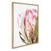 28" x 38" Sylvie Pink Protea Flower Framed Canvas by Amy Peterson Natural - Kate and Laurel - 2 of 4