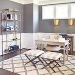 Glamorous Feminine Home Office Collection - Ameriwood Home