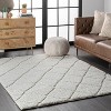 Nuloom Deloise Trellis Shag Indoor Area Rug, 6' 7" x 9', White - 2 of 4