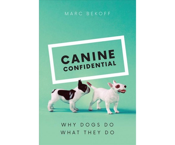 Canine Confidential : Why Dogs Do What They Do -  by Marc Bekoff (Hardcover)