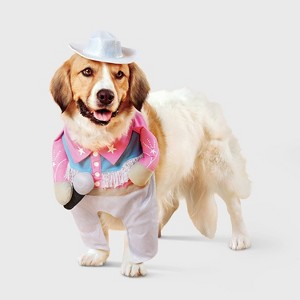 Glam Cowboy Dog and Cat Frontal Costume - Boots & Barkley™ Light Pink - 1 of 4