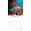 2026 Square Wall Calendar, Under the Sea, 16-Month Natural World Theme with 180 Reminder Stickers (12x12 In) - 3 of 4