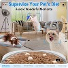 Automatic Cat Dog Feeder with 2K Camera, WiFi Food Dispenser with Night Vision, Large Capacity - 2 of 4