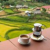 Kaya Kopi Premium Lam Dong From Bao Loc Region, Lam Dong, Vietnam - Energy Robusta Roasted Whole Coffee Beans, 12 Ounce - 2 of 4