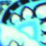 multicolor,  paisley blue