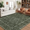 Area Rugs Washable Rugs for Living Room Vintage Boho Large Rugs Non Slip Indoor Soft Distressed Lightweight Carpet - 2 of 4