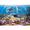 500 Piece Jigsaw Puzzle, Dolphins Underwater, Ocean life, Sea puzzles, Adult Puzzle, Castorland B-52547 - 2 of 4