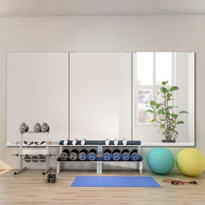 Dovelina Rectangular Gym Mirror Decorative Wall Mirror Large Wall ...