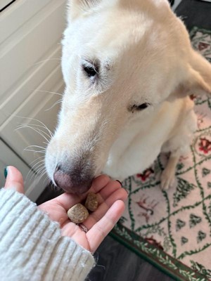 Guest review image 2 of 2, zoom in