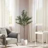 KTMBDW Olive Trees Artificial Indoor, Tall Faux Olive Tree, Artificial Plants with Natural Wood Trunk and Lifelike Fruits for Home Office Decor - 2 of 4