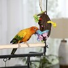 Prevue Pet Products Tropical Teasers Mr. Bean Bird Toy, Multicolor, Small/Medium (Model: 62189) - 2 of 2