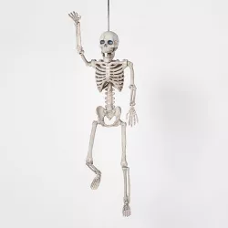 16" Posable Skeleton Halloween Decorative Mannequin - Hyde & EEK! Boutique™