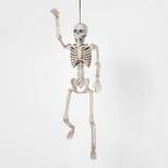 16" Jointed Skeleton Halloween Decorative Mannequin - Hyde & EEK! Boutique™