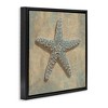 Stupell Industries Starfish Beach Objects Design, 25" x 25" - 3 of 4