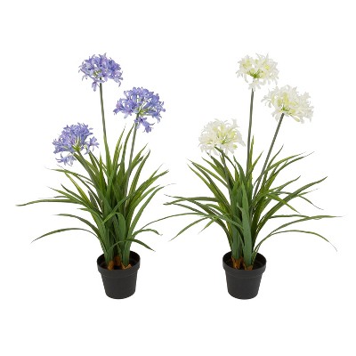 Gerson International 37-Inch High Assorted Artificial Agapanthus in Pot, Set of 2