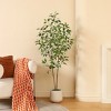 DR.Planzen 5-7FT Artificial Ficus Tree with Round White Planter, Pre Potted Faux Plant with White Border Leaves for Indoor Home Decor - 2 of 4