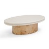 TOV Furniture Tanner Natural Burl and Cream Ash Coffee Table - 3 of 4
