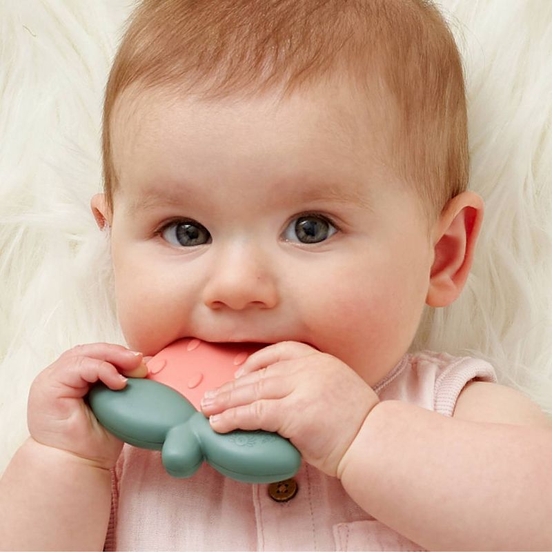 Itzy Ritzy Sweetie Shake Teether - Strawberry, 3 of 11