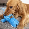 Bellura Pet - Squeaky Plush Dog Toy - Blue - 2 of 4