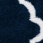 navy/white
