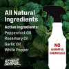 Exterminators Choice Rodent Defense Spray for Cars and Trucks - Non-Toxic Deterrent for Pest Control - Repels Mice and Rats - 32 oz - 3 of 4