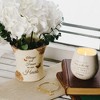 Pavilion Gift Company - Stars in the Sky - 8 oz - 100% Soy Wax Candle Scent: Tranquility - Flame Candles - 3 of 4