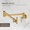 Wall Mounted Pot Filler with Double Handles (Valve Included) - 4 of 4
