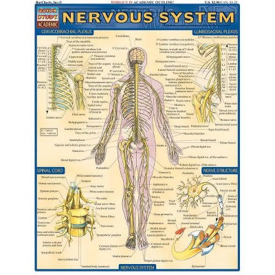 Nervous System - (Quickstudy: Academic) by  Vincent Perez (Poster)